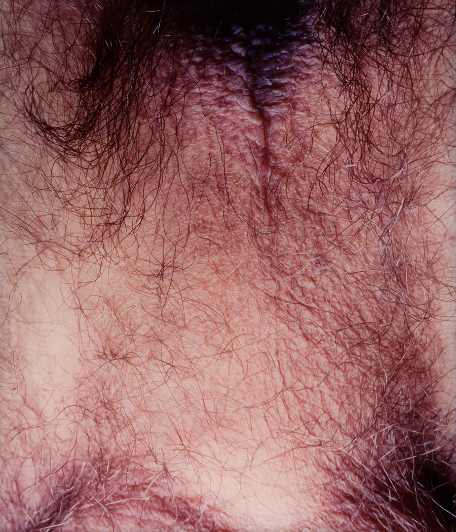 d636ea0423.jpg - 10672