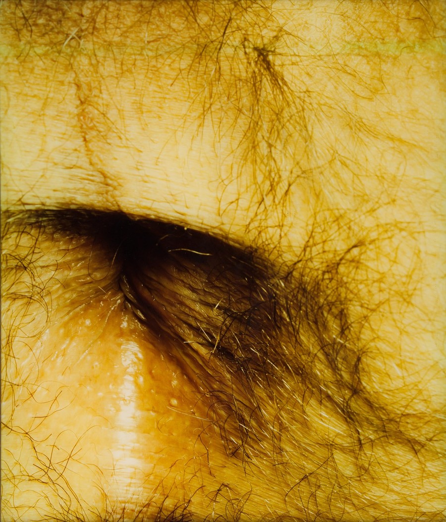 d1e3ee4f82.jpg - 10847