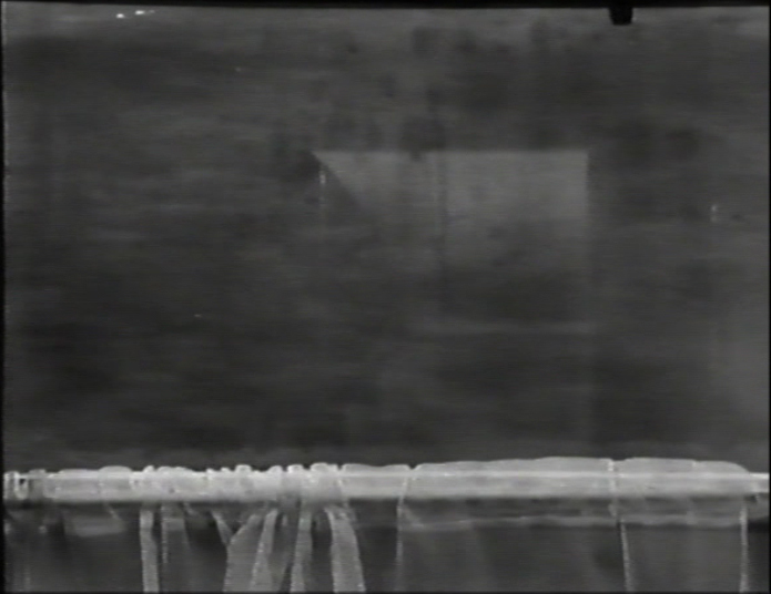 591a74fda8.jpg - 11135