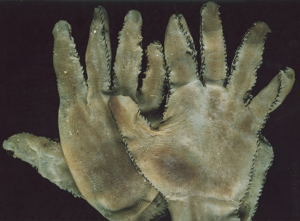 Danny Devos, //Ed Gein Gloves//, 1987, object, 23 × 15 × 1 cm