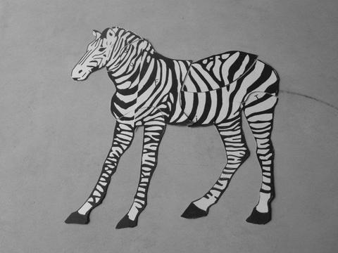 //A Zebra in the Museum//, photo: Emilia Pawłusz