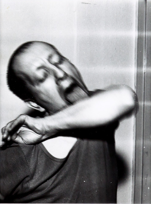 cdb7360f48.jpg - 12964