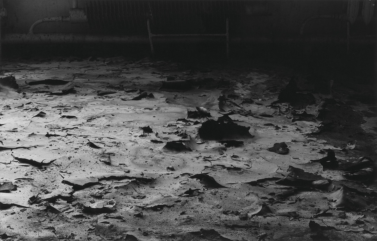 Mikołaj Smoczyński, //The Secret Performance II (Fields of Transition)//, 1992–1993, fotografia