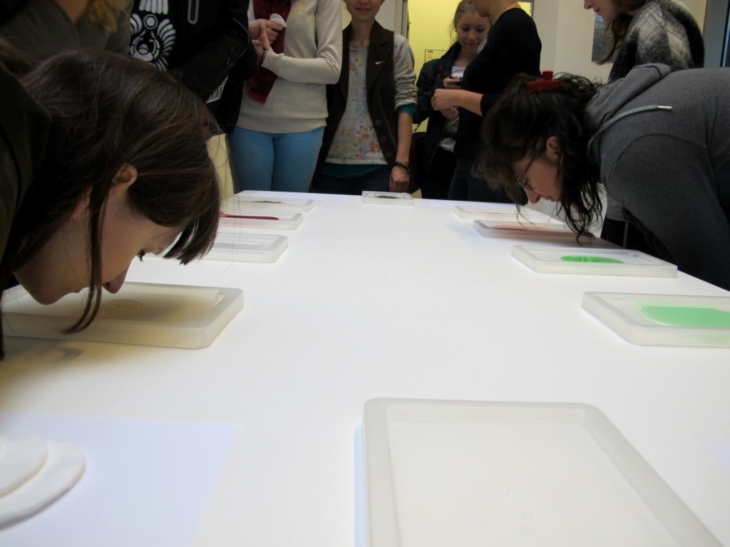 Tydzień Kultury bez Barier w MOCAK-u, 26.9.2015, Biblioteka MOCAK-u