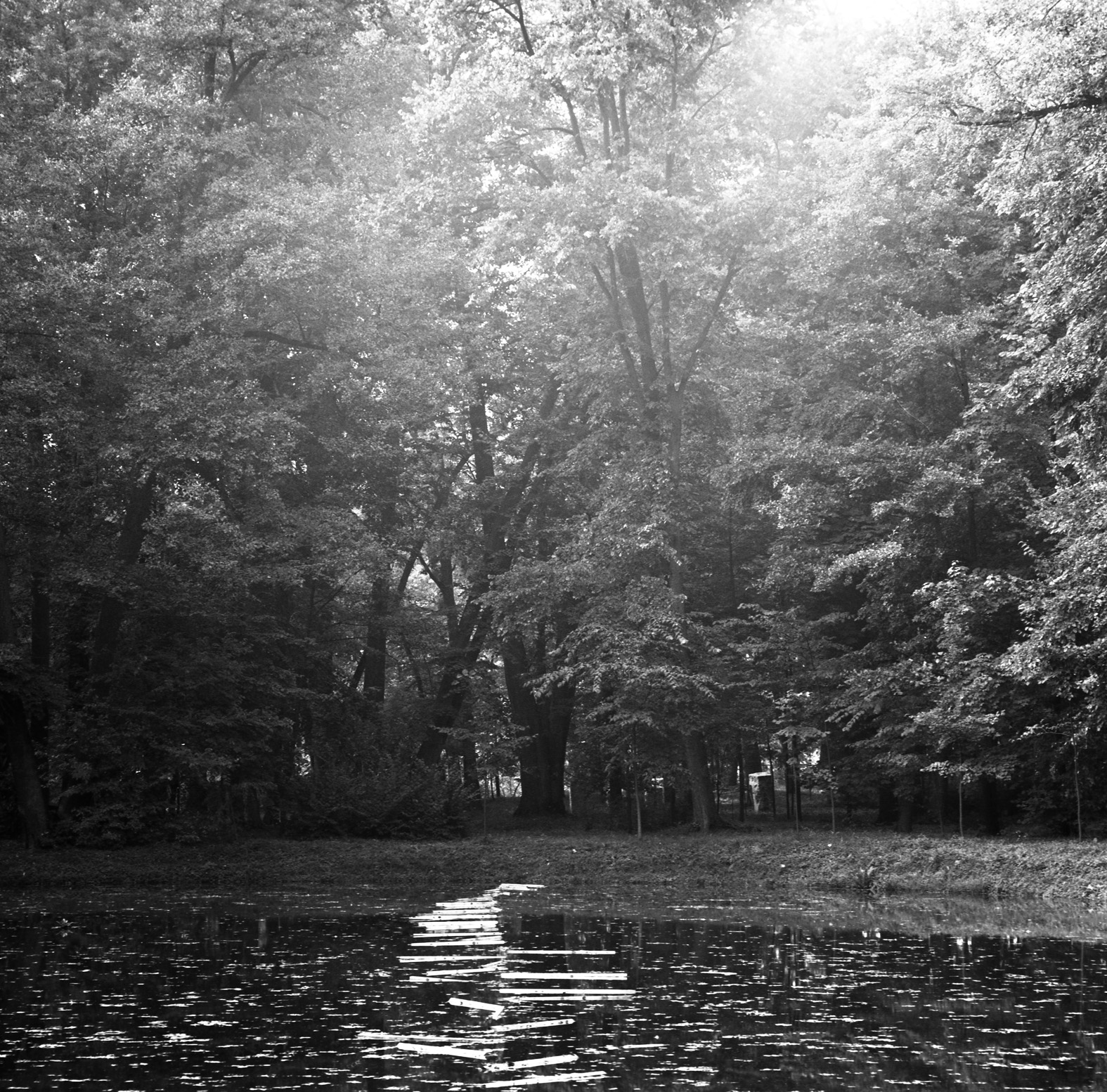 Linia, Orońsko, 1989