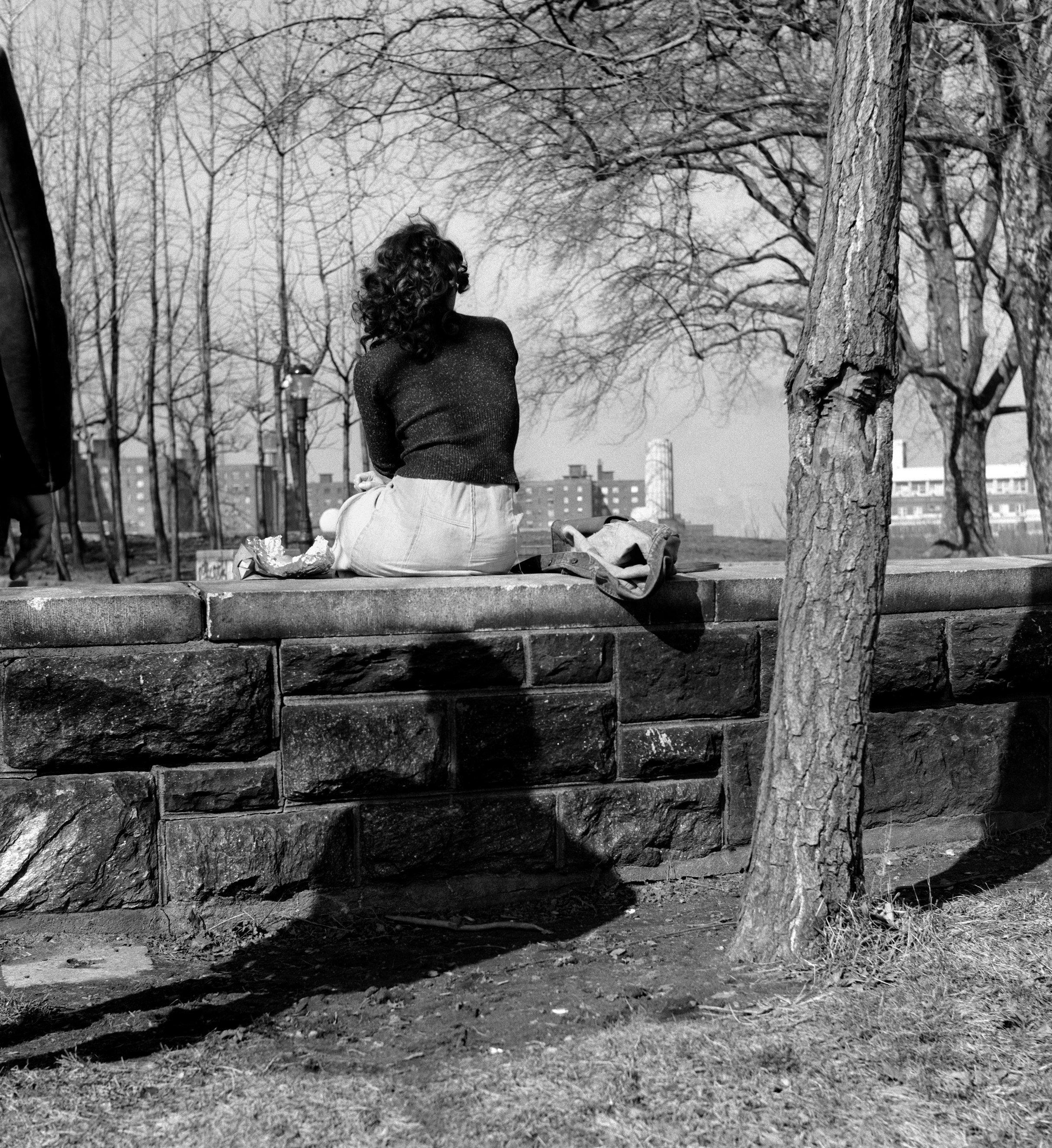 Mac Adams Przez park, 1975, z cyklu Tajemnice, 2 fotografie, 84,4 × 77,4 cm każda