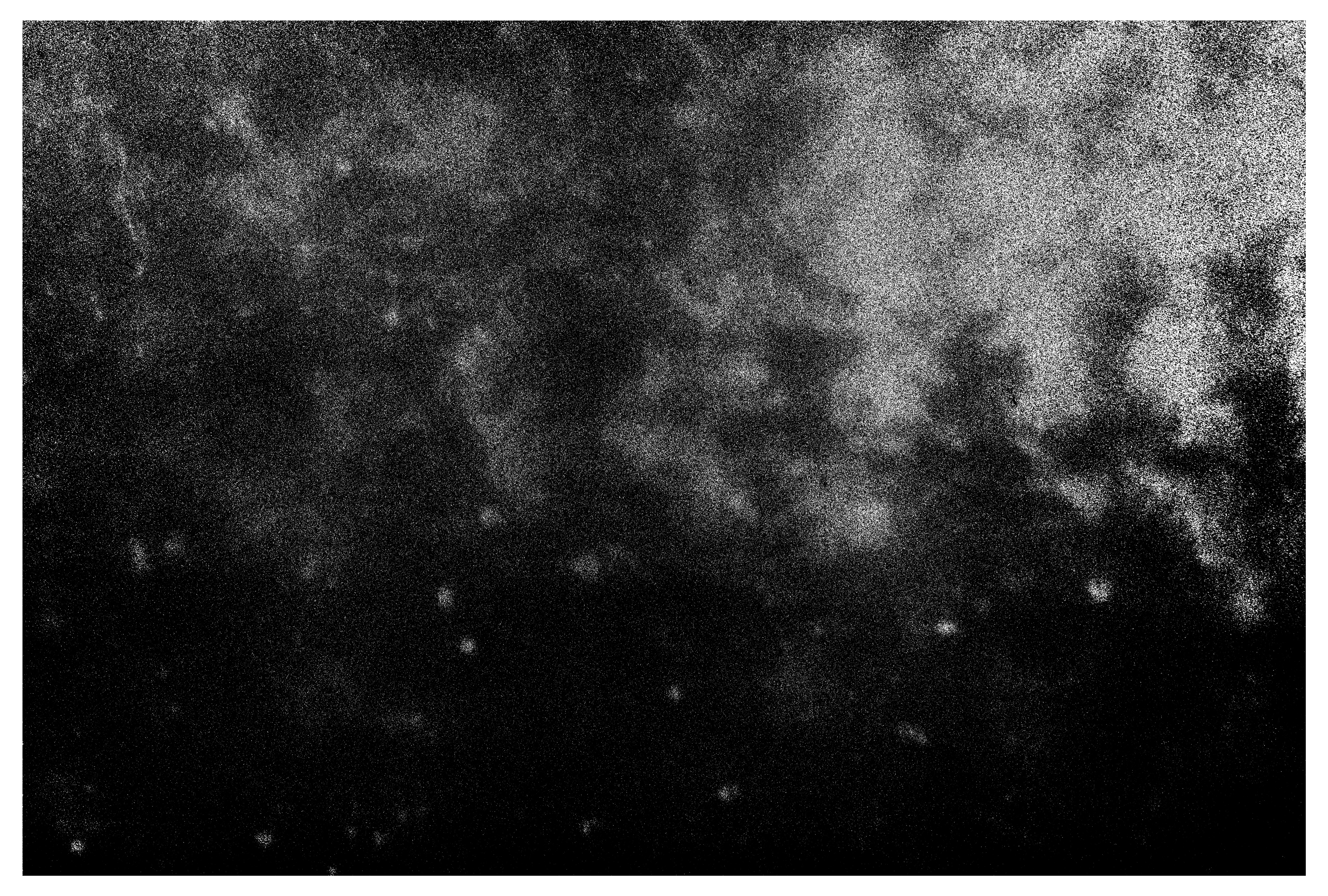Jan Smaga, Esej wizualny //Prints//, MOCAK Forum numer 8