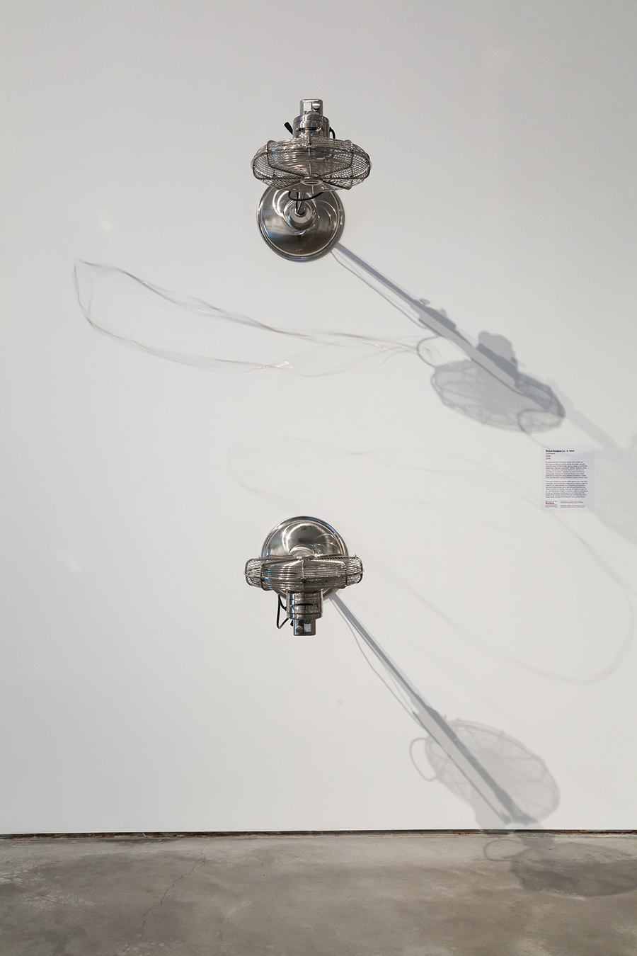 089650cf51.jpg - 17118