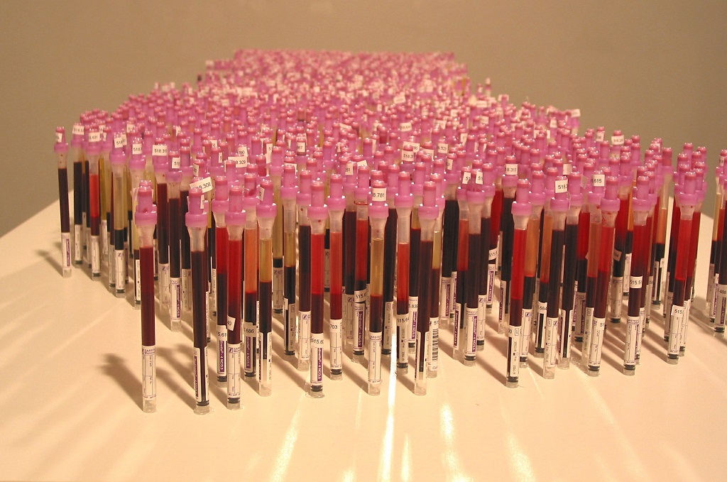 Edith Micansky, //OB | ESR (BSG)//, 2004, instalacja, około 110 × 89 × 296 cm, courtesy of E. Micansky