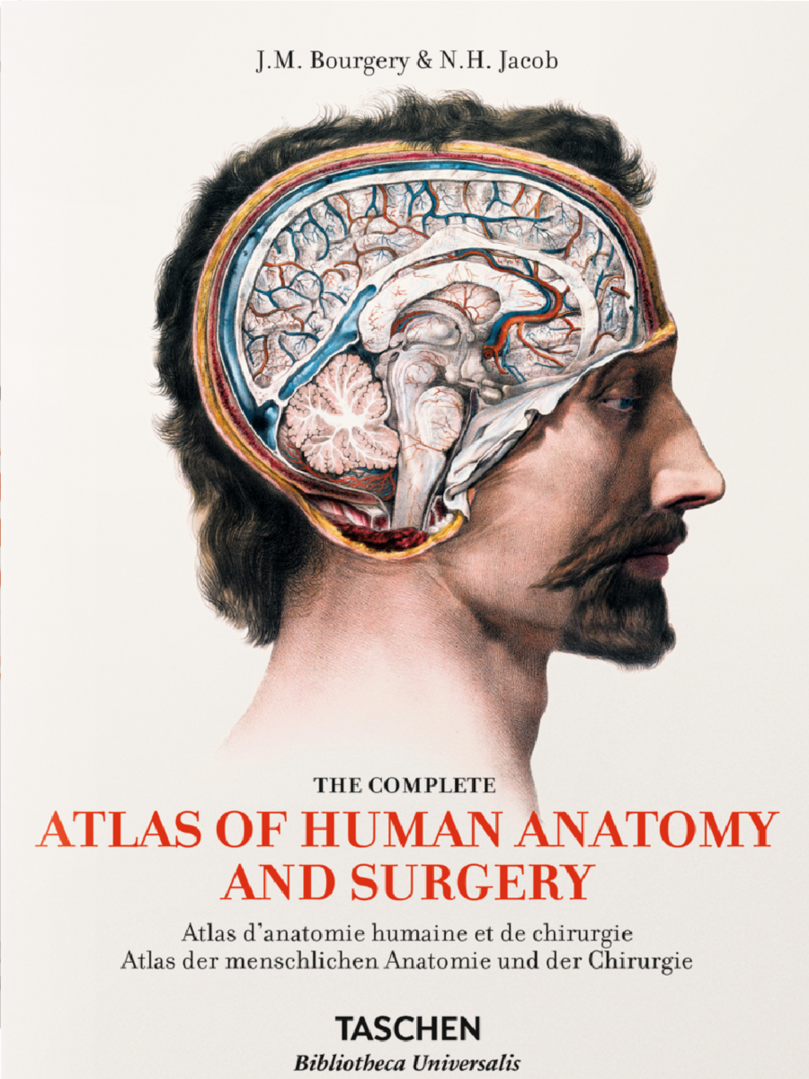 Atlas of Human Anatomy and Surgery, wyd. Taschen - MOCAK