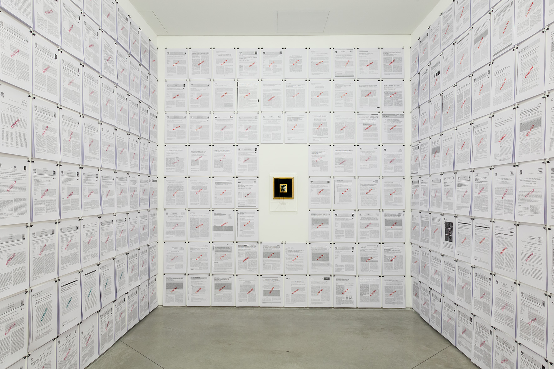 Wystawa //Medycyna w sztuce//, Debora & Iaia Hirsch & Filiberti, //NIMBY-HeLa//, 2016, fot. Rafał Sosin