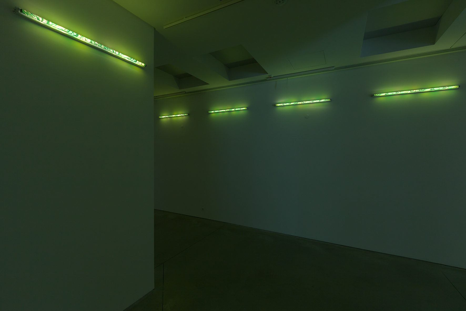 Karolina Kowalska, //Klosze na świetlówki//, 2005, instalacja