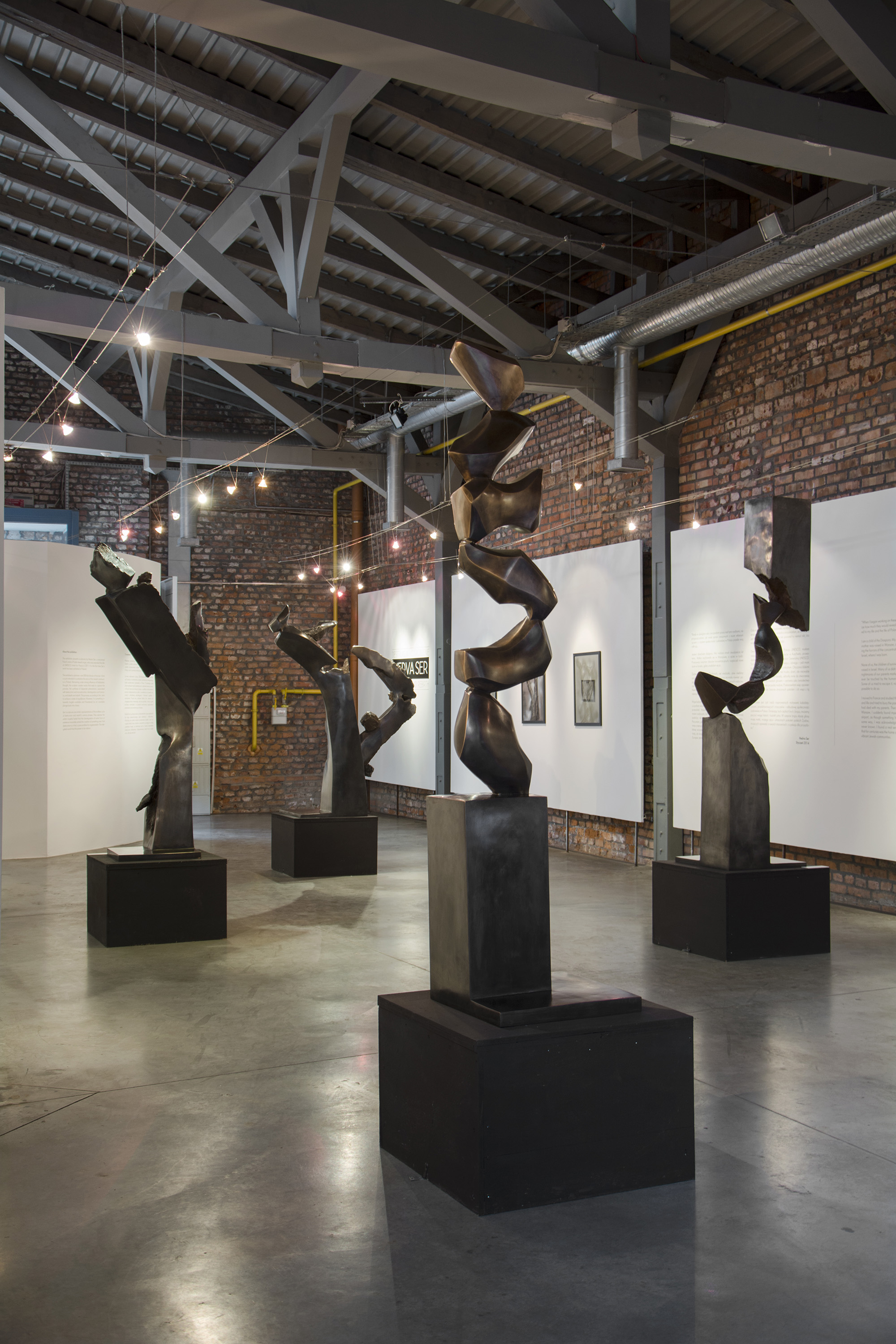 Hedva Ser's sculptures, Galicia Jewish Museum