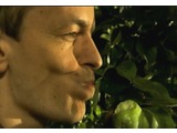 Oskar Dawicki, //The Tree of Knowledge//, 2008, video, MOCAK Colection2