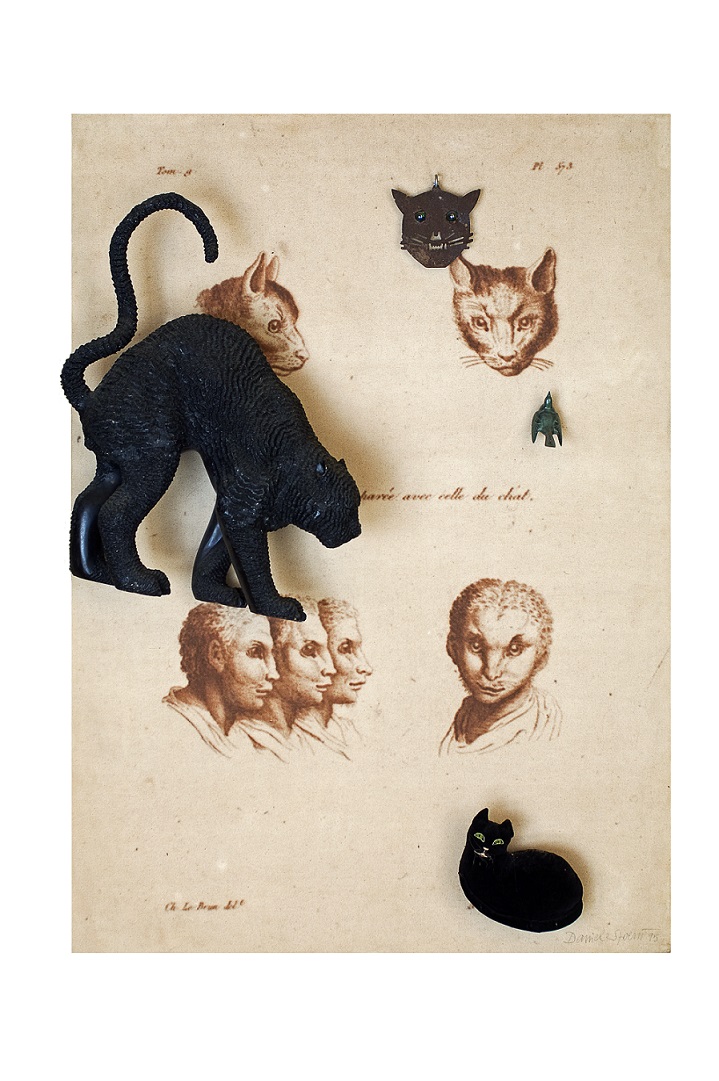 Daniel Spoerri, //Twarz ludzka zestawiona z głową kota// (//Figure humaine comparée avec celle du chat//), 1995, asamblaż, 140 × 100 × 25 cm, courtesy D. Spoerri, LEVY Galerie, Hamburg