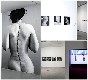 //Medicine in Art// exhibition