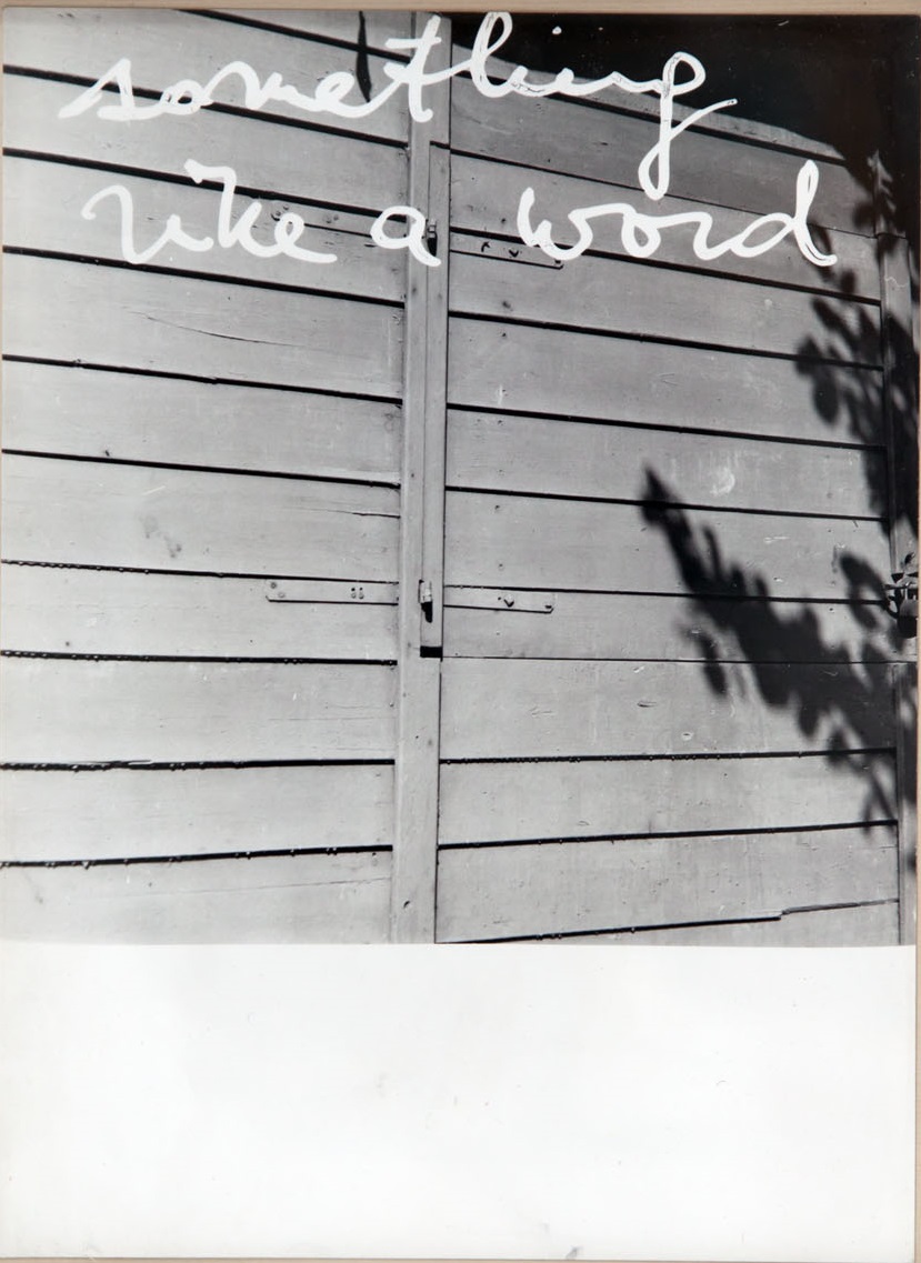 Jiří Valoch, fotografia, z cyklu //Obserwując krajobraz//, 1974, Kolekcja MOCAK-u