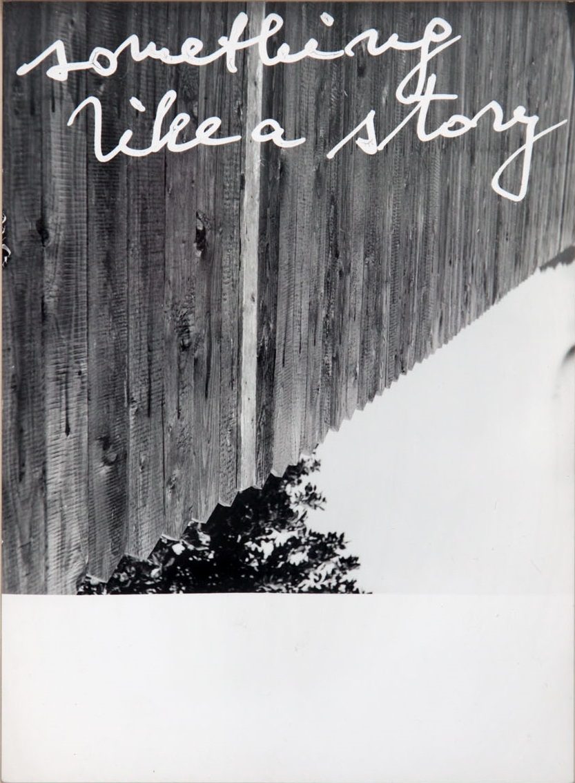 Jiří Valoch, fotografia, z cyklu //Obserwując krajobraz//, 1974, Kolekcja MOCAK-u