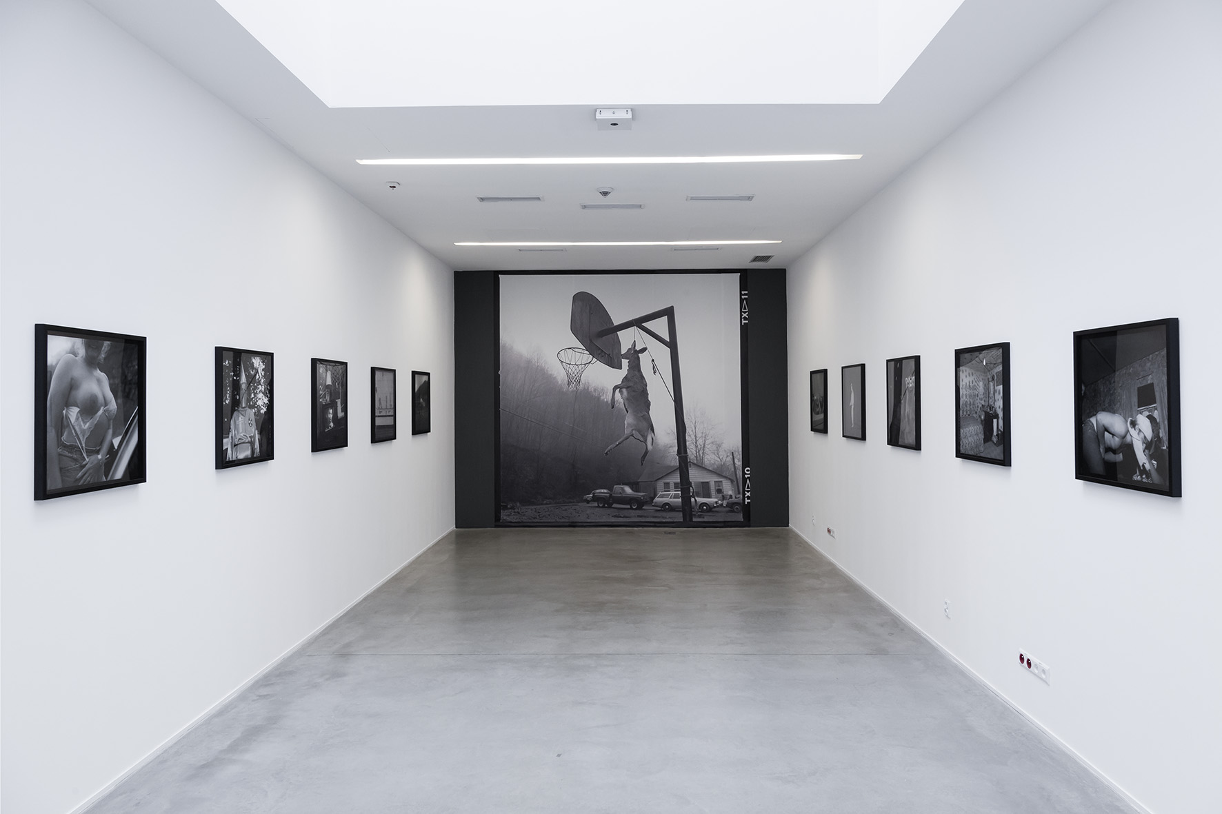  Widok wystawy //Grapevine: 1988–1992//, fot. R. Sosin