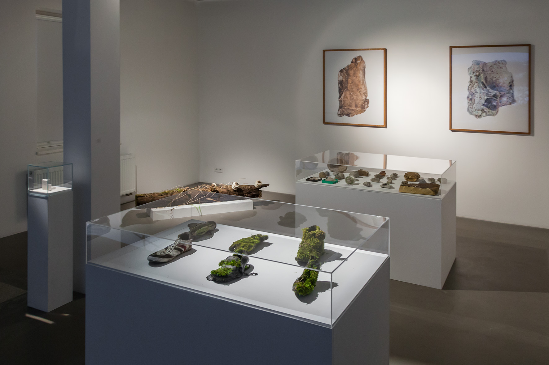 Widok wystawy //Liban i Płaszów – nowa archeologia//, fot. R. Sosin