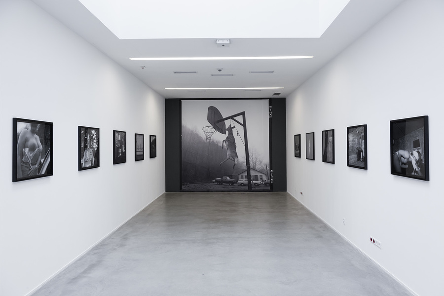 //Grapevine: 1988–1992// exhibition, photo: R. Sosin
