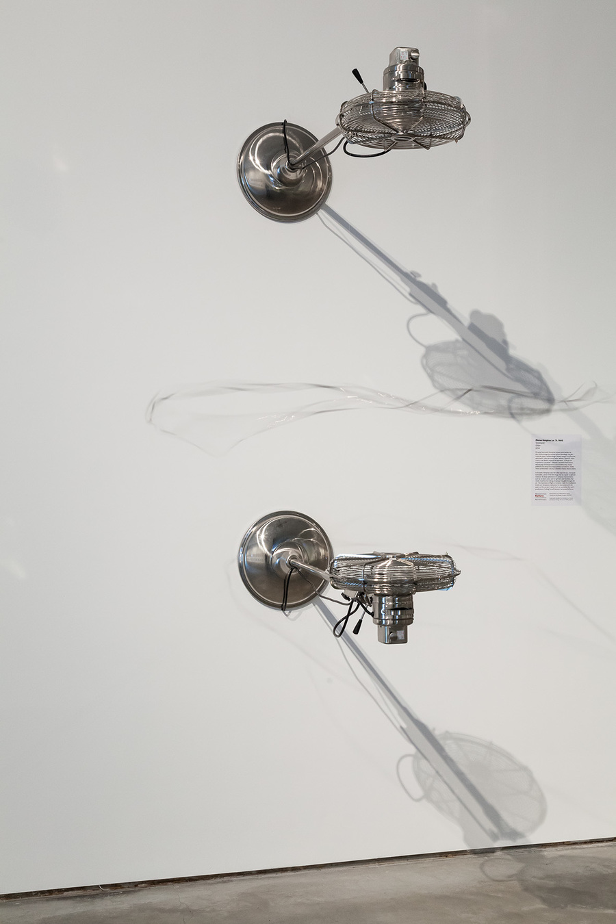 28b654ee6c.jpg - 24187