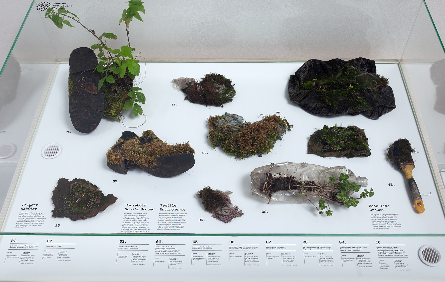 Wystawa // Nagroda Fundacji Vordemberge-Gildewart 2018//. Diana Lelonek, //Center for Living Things//, 2016–2018, instalacja, 100 × 120 × 80 cm, courtesy D. Lelonek, fot. R. Sosin