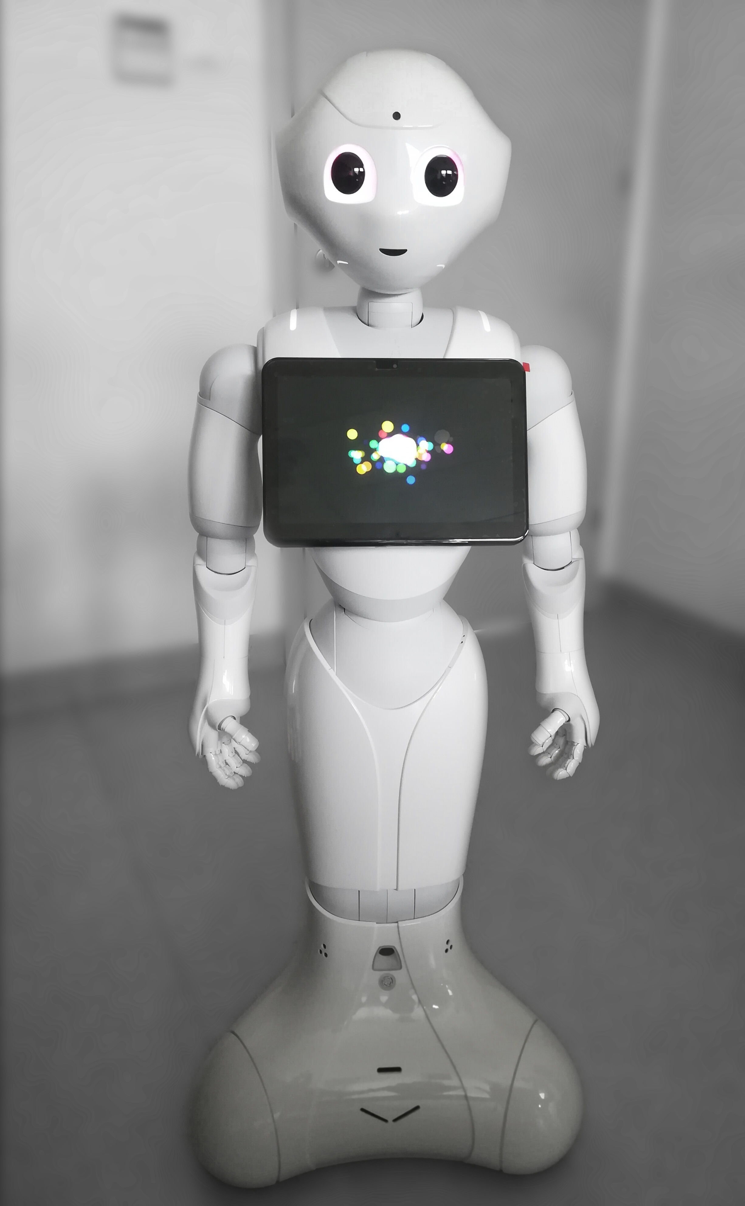 Pepper the Robot, photo: M. Nikody