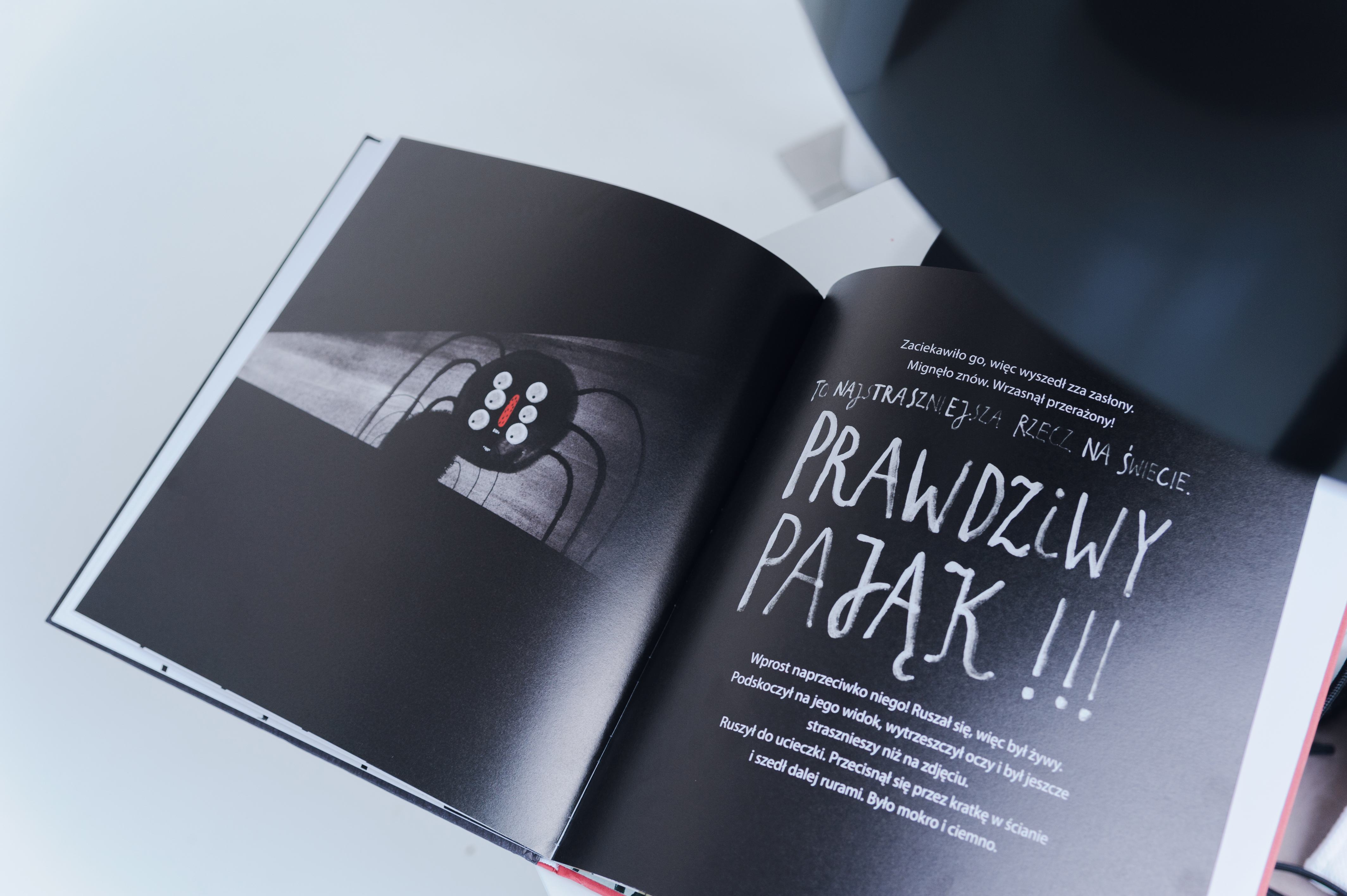 //Czego tu się bać?//, aut. Madlena Szeliga, il. Paulina Daniluk, Wydawnictwo Gereon, fot. L. Radyk