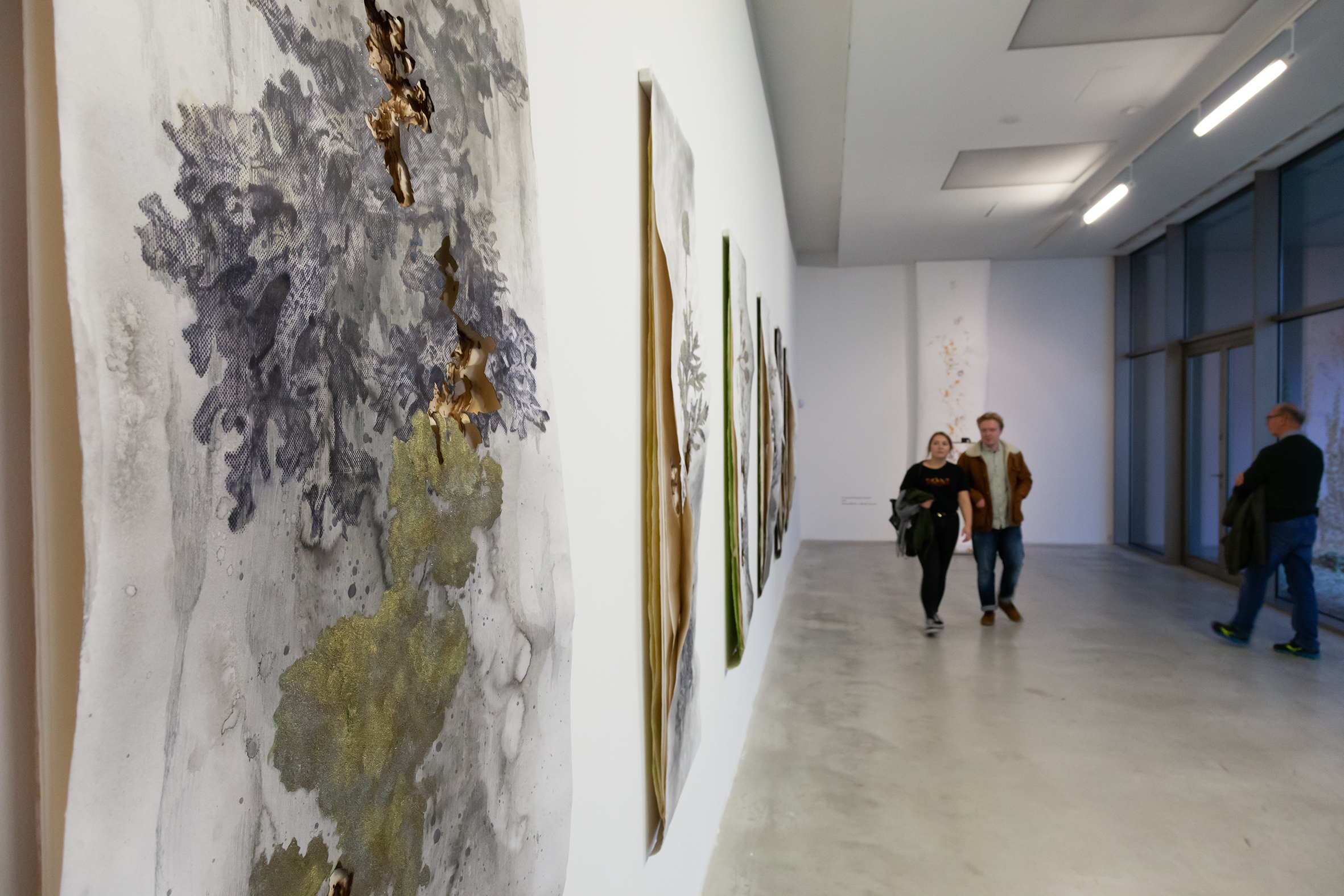  Akira Inumaru //The Language of Flowers// exhibition, photo: R. Sosin
