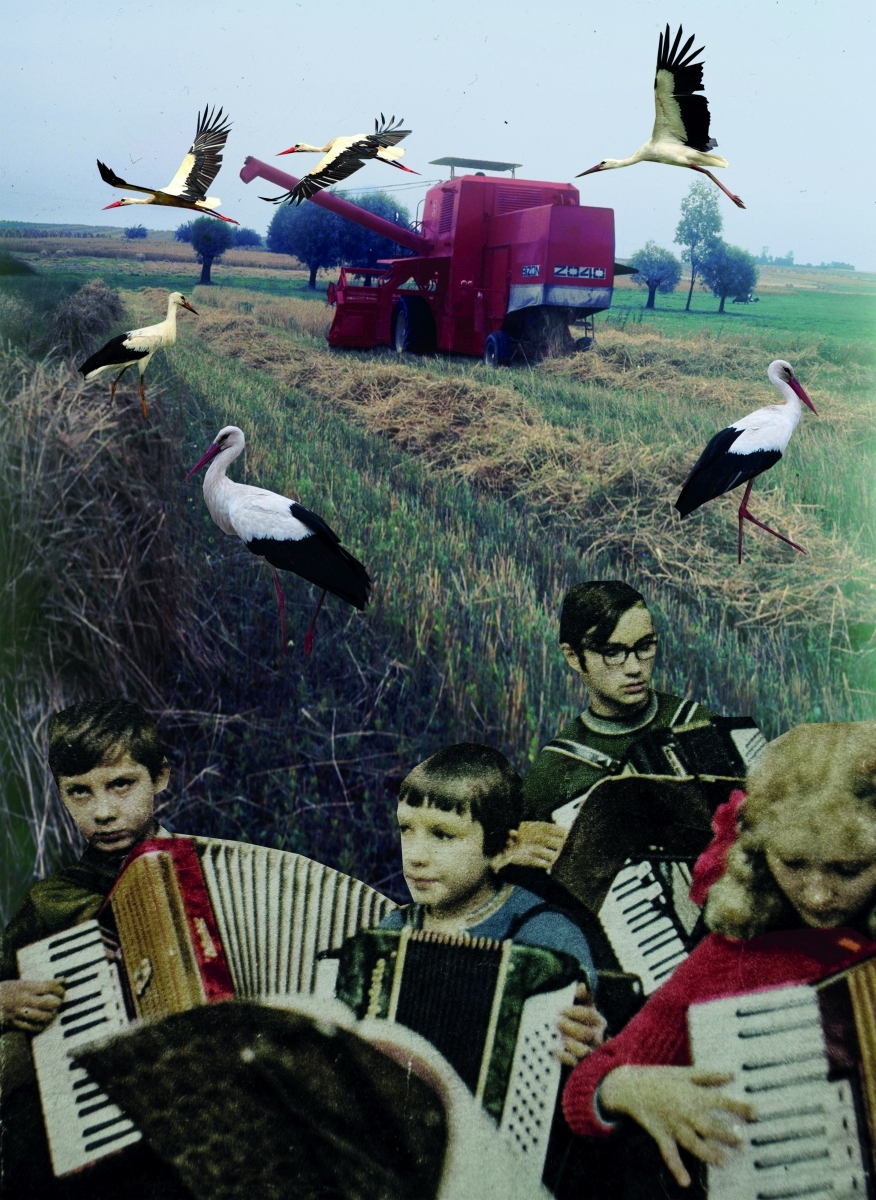Alicja Biała, //Bociany//, 2018, kolaż, 41 × 29 cm, courtesy A. Biała