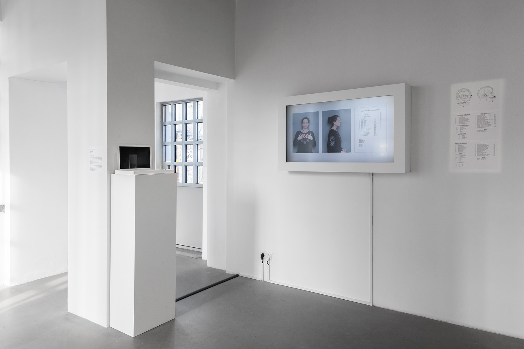 //The Studio of Łukasz Skąpski// exhibition. Foreground: Anastasiia Mikhno, //Phenotype A//, 2018, video, 5 min 46 s, courtesy of A. Mikhno, photo: R. Sosin