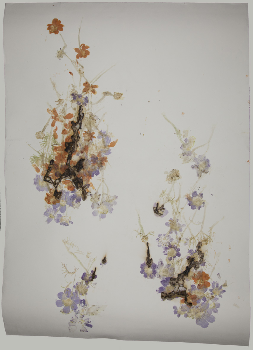Akira Inumaru, z cyklu //Ignis fatuus (Błędne ogniki)//, 2013, technika mieszana / papier, 109,5 × 79 cm, Kolekcja MOCAK-u, fot. R. Sosin