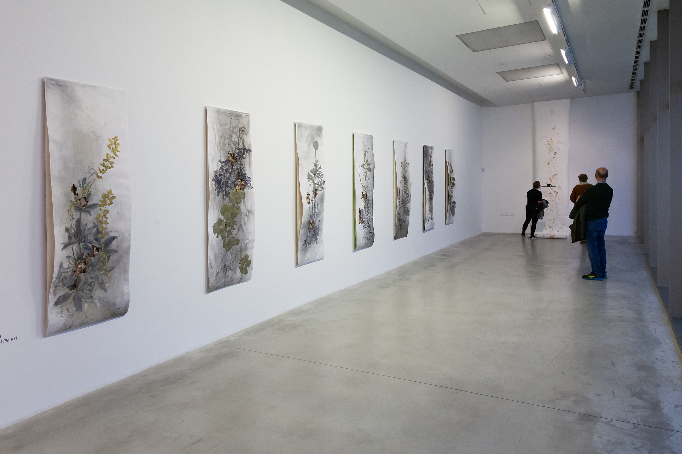 //The Language of Flowers// exhibition, photo: R. Sosin