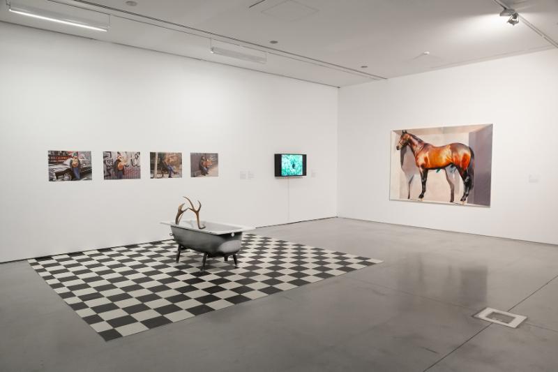 //Nature in Art// Exhibition. From the left works by: Piotr Lutyński, Marek Wasilewski, Agata Kus. Photo: R. Sosin