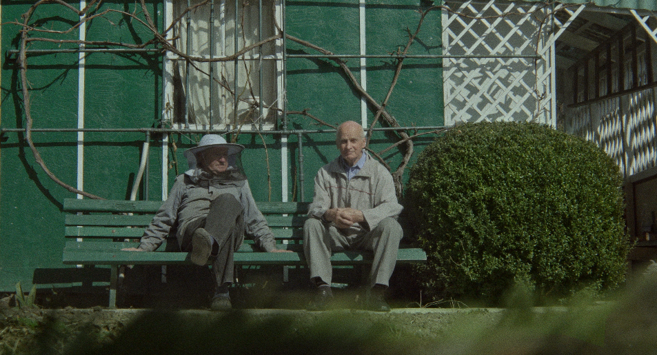 Jeremi Skrodzki, //The Hive//, video, 2018, 9 min 15 s, courtesy of Lodz Film School