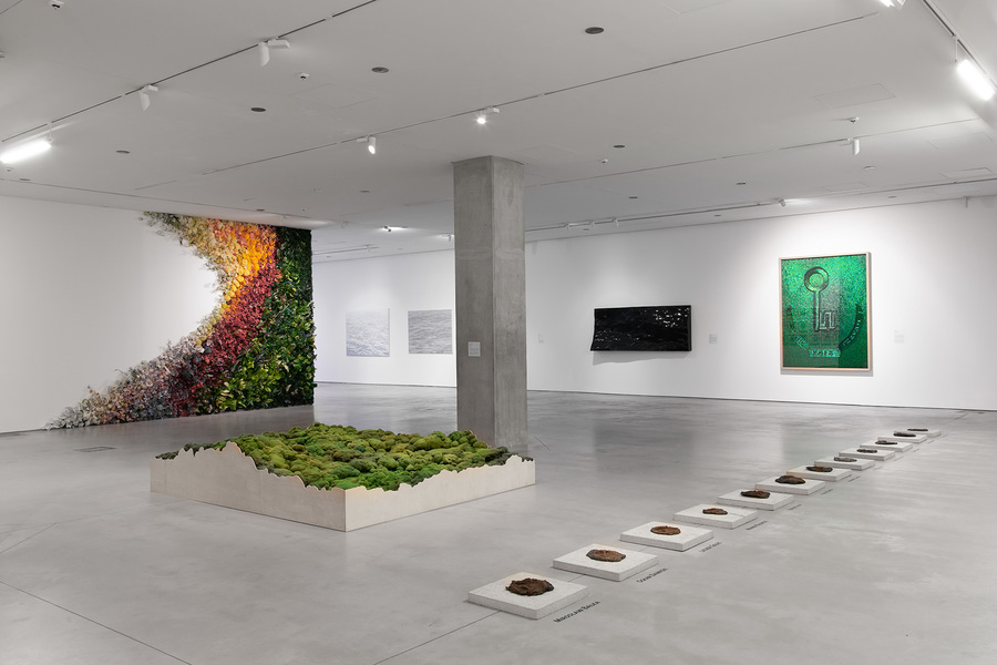 //Nature in Art// Exhibition. From the left works by: Grzegorz Kozera, Michalina Bigaj, Oskar Dawicki. Background works by: Jan Fabre, Justyna Smoleń, Guido Casaretto. Photo: R. Sosin