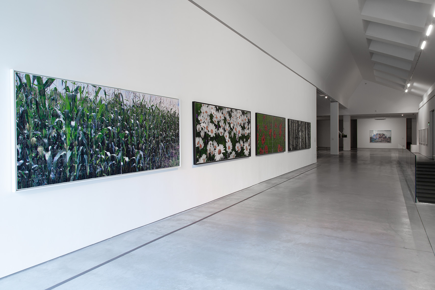 //Nature in Art// exhibition. Works by Azade Köker, photo: R. Sosin