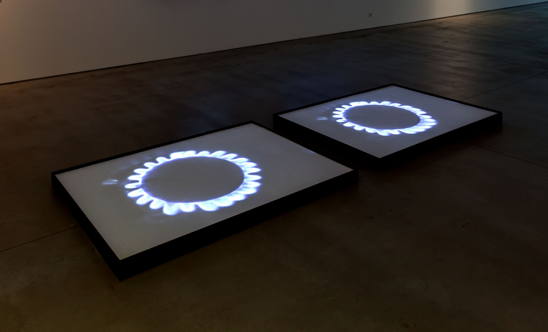 Mirosław Bałka, //Blue Gas Eyes//, 2004, video installation, 3 min 37 s, MOCAK Collection