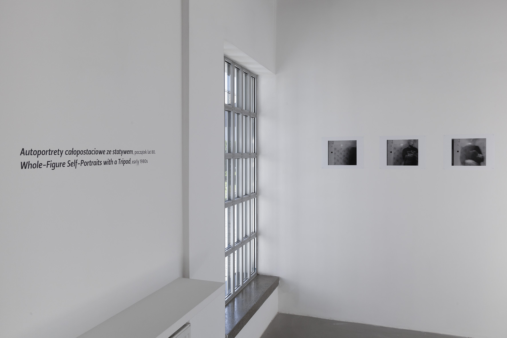 Mikołaj Smoczyński //Private Exhibition//, photo: R. Sosin
