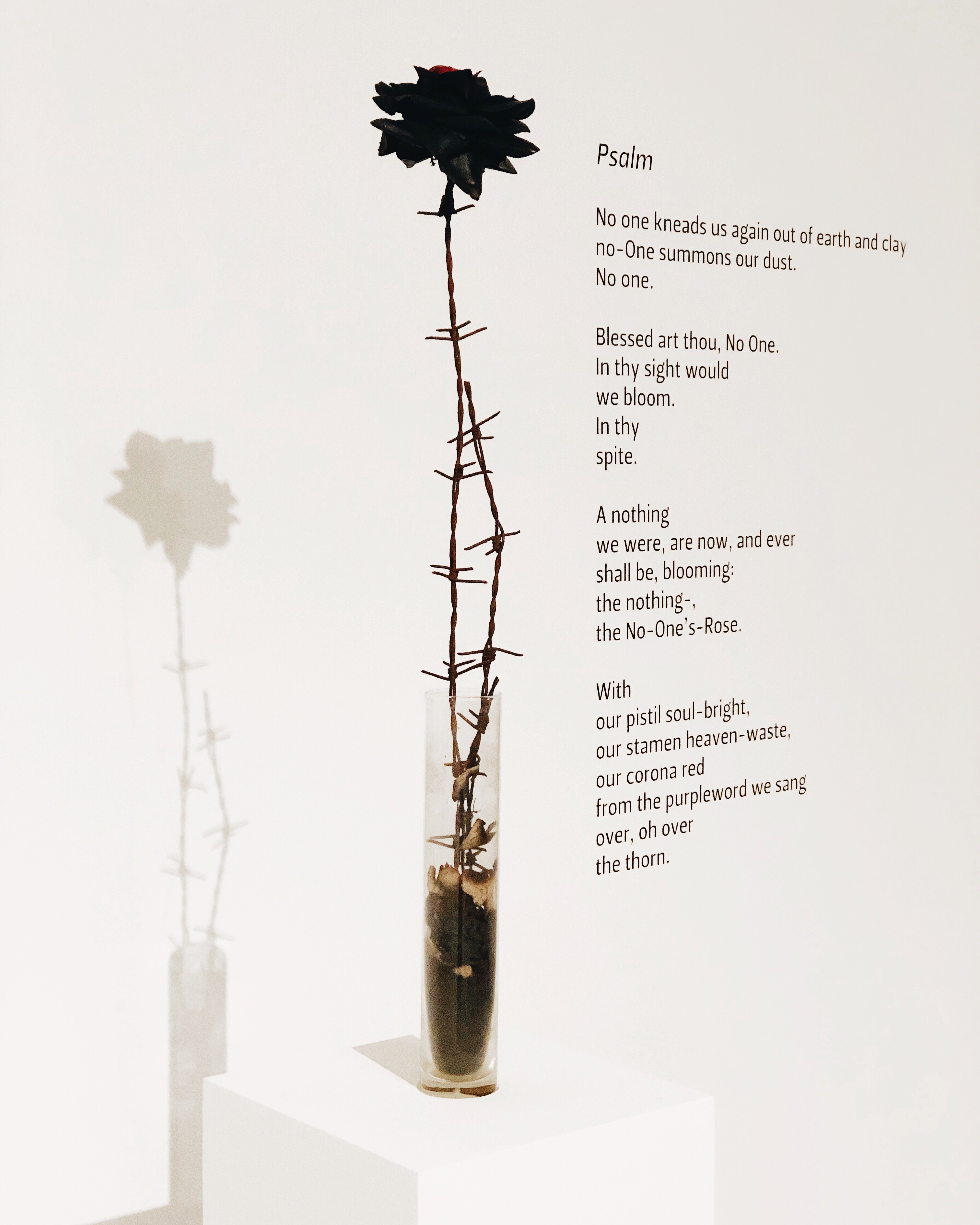 Krzysztof M. Bednarski, //Róża niczyja//, 1982, asamblaż, Kolekcja MOCAK-u. W tle: Paul Celan, //Psalm//, 1963, tłum. John Felstiner, w: tegoż, //Psalm i inne wiersze//, Wydawnictwo a5, Kraków 2013, s. 173