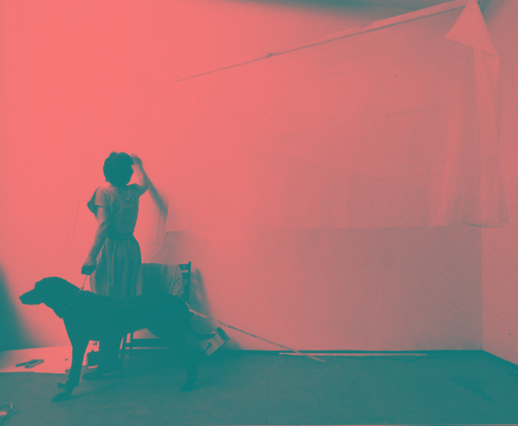 Joan Jonas, //Comino sin nombre// (performans), 1984