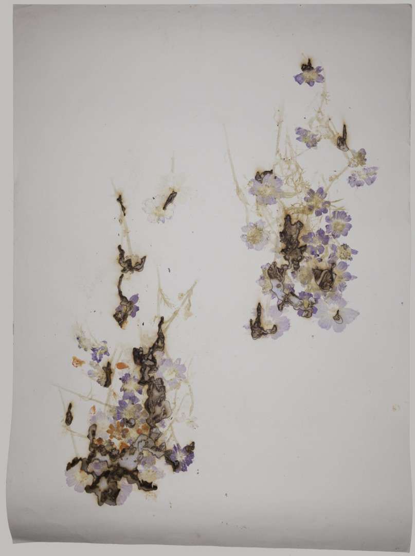 Akira Inumaru, //Ignis fatuus//, 2013, MOCAK Collection