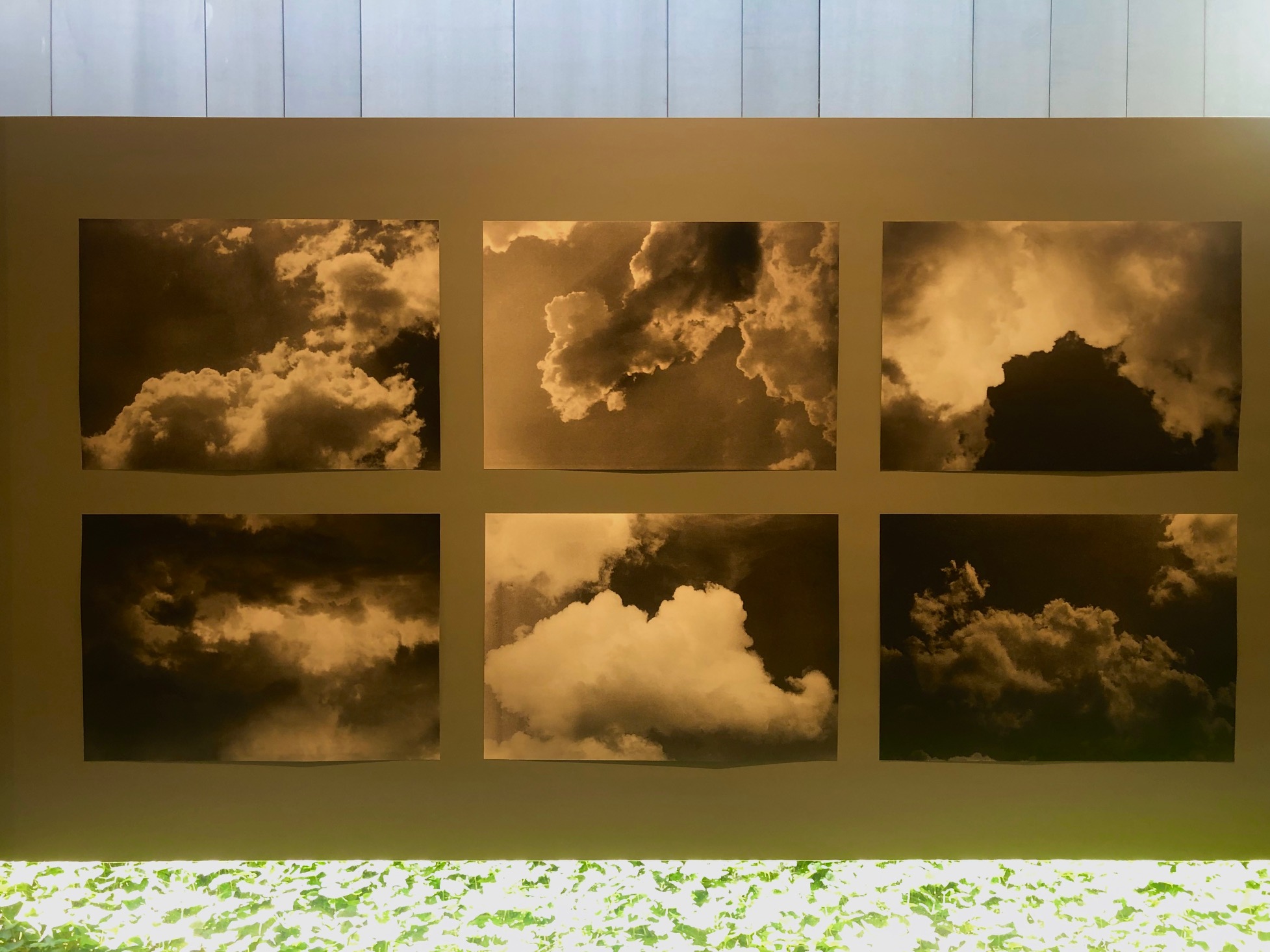 Wystawa fotograficzna Romana Ingardena //Filozof i fotograf//, fot. Dział Promocji, MOCAK