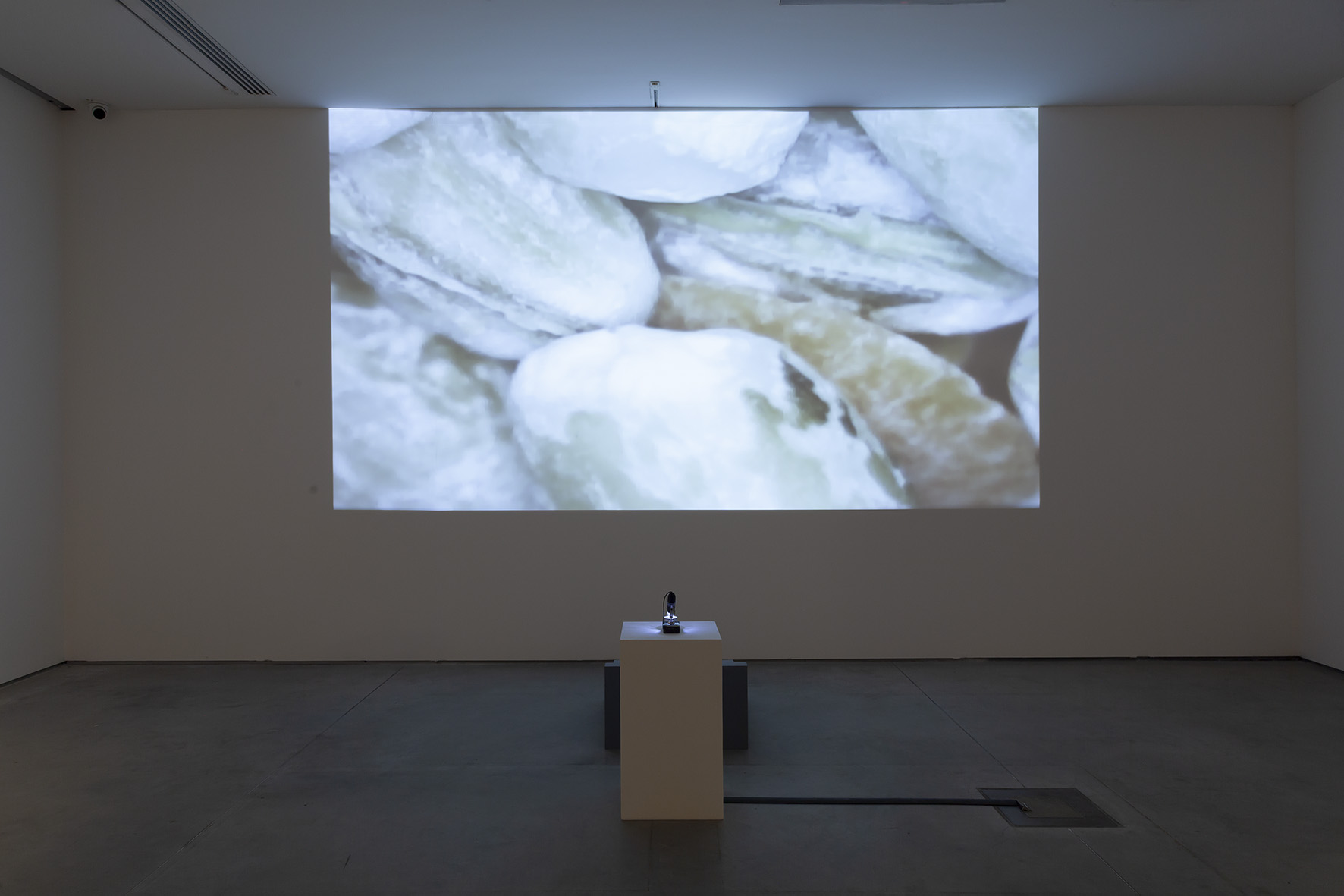 Marek Chołoniewski, //Entropia//, 2019, instalacja audiowizualna, wymiary zmienne, courtesy M. Chołoniewski, fot. R. Sosin