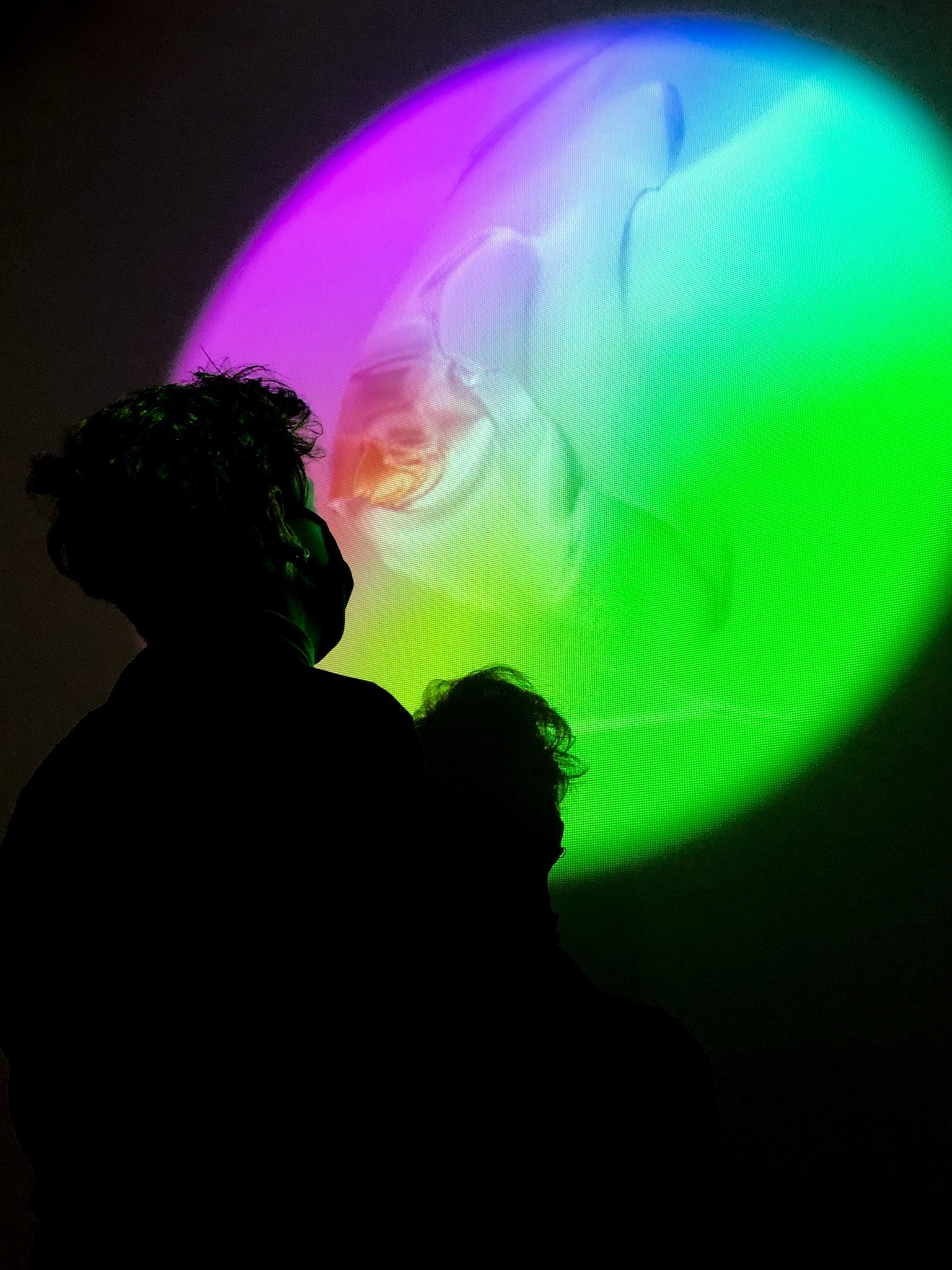 Sylwia Marszałek - Jeneralczyk, Erwin Jeneralczyk, //Under the Sea//, 2020, instalacja wideo, courtesy S. Marszałek - Jeneralczyk, E. Jeneralczyk, fot. Dział Promocji, MOCAK