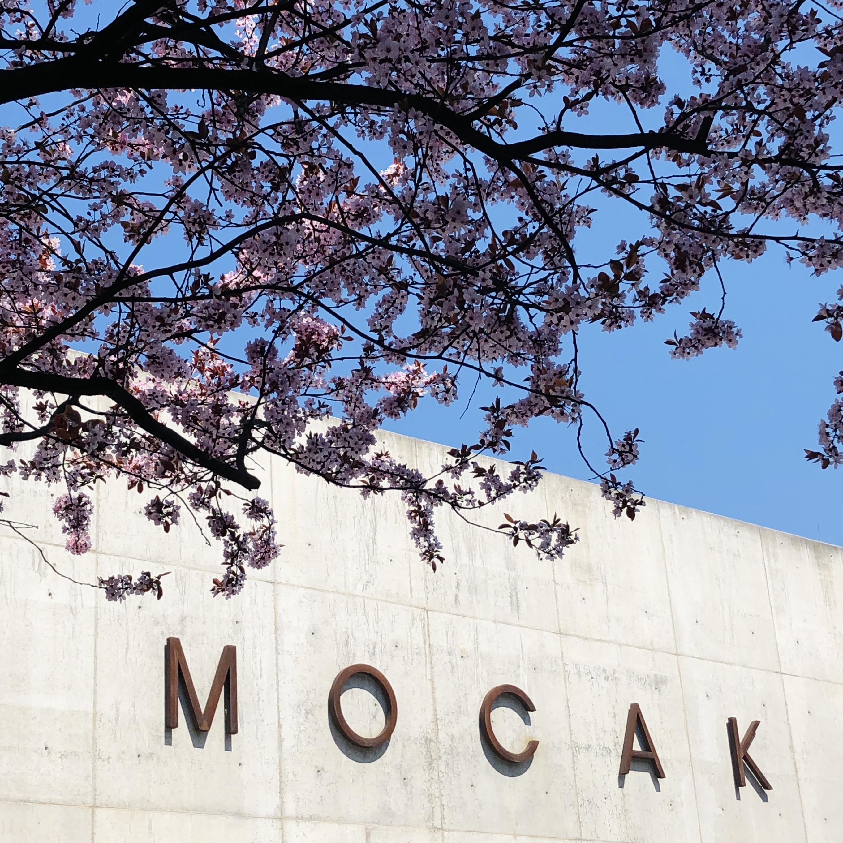 Fot. Dział Promocji, MOCAK