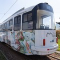 7b820156b8.jpg - 32689