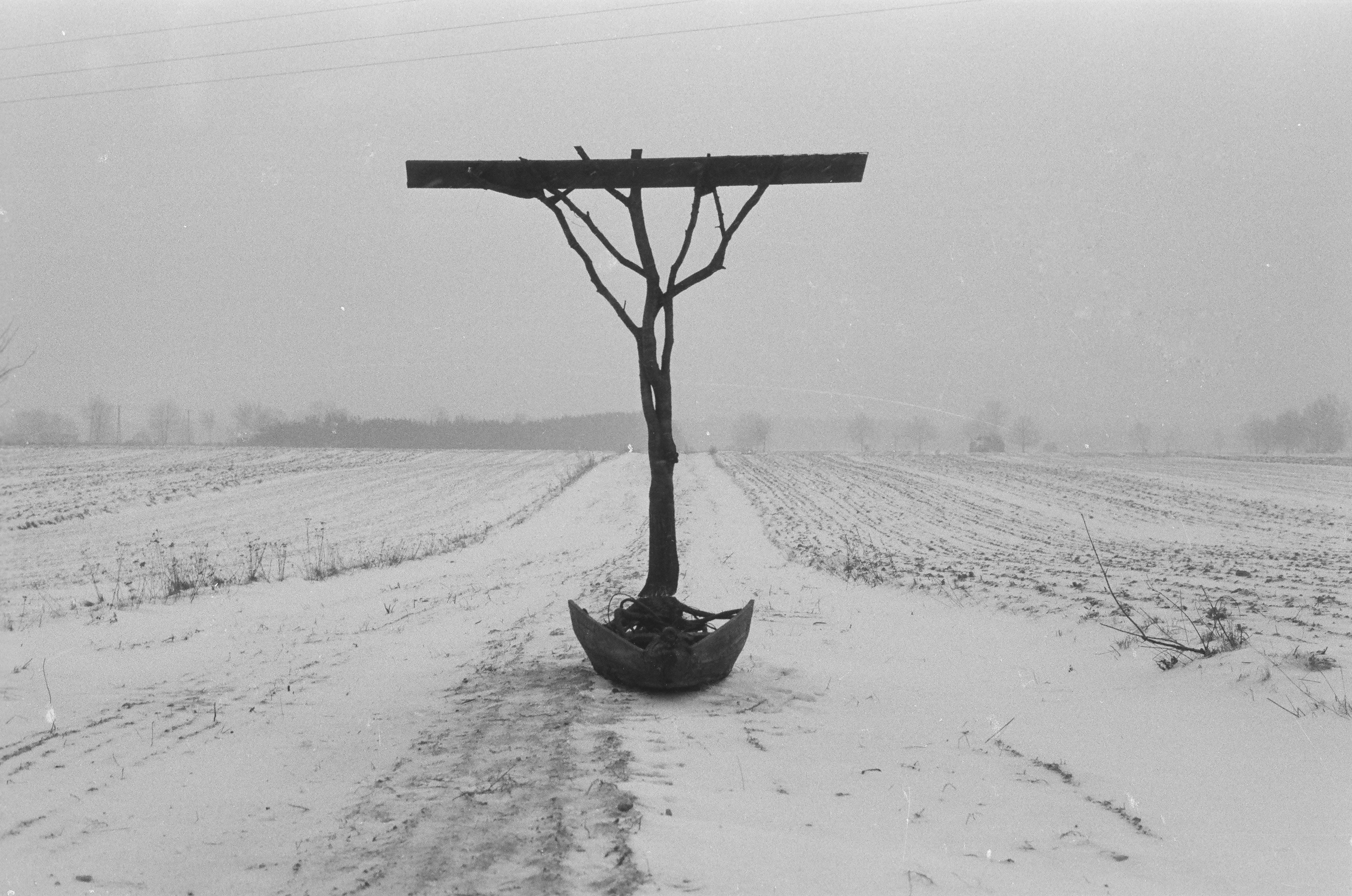 //Thanatos polski// sfotografowany w miejscu powstania, 1984, własność Muzeum Narodowego we Wrocławiu, fot. K.M. Bednarski