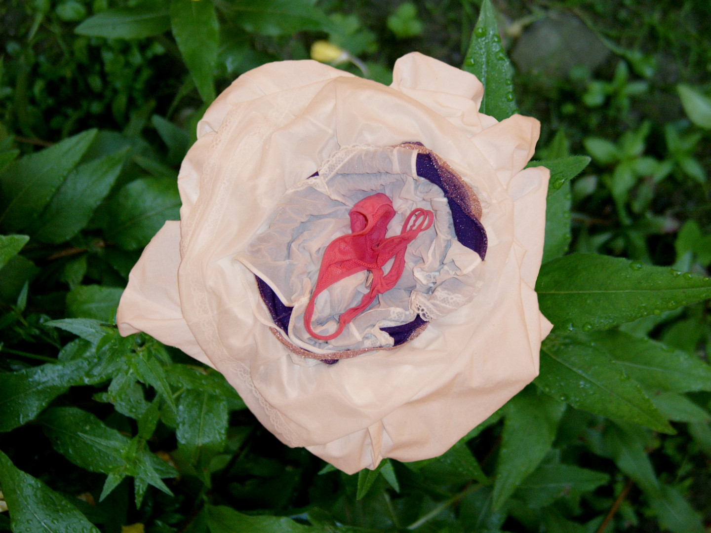 Małgorzata Markiewicz, //Kwiaty//, 2004, fotografia cyfrowa, Kolekcja MOCAK-u